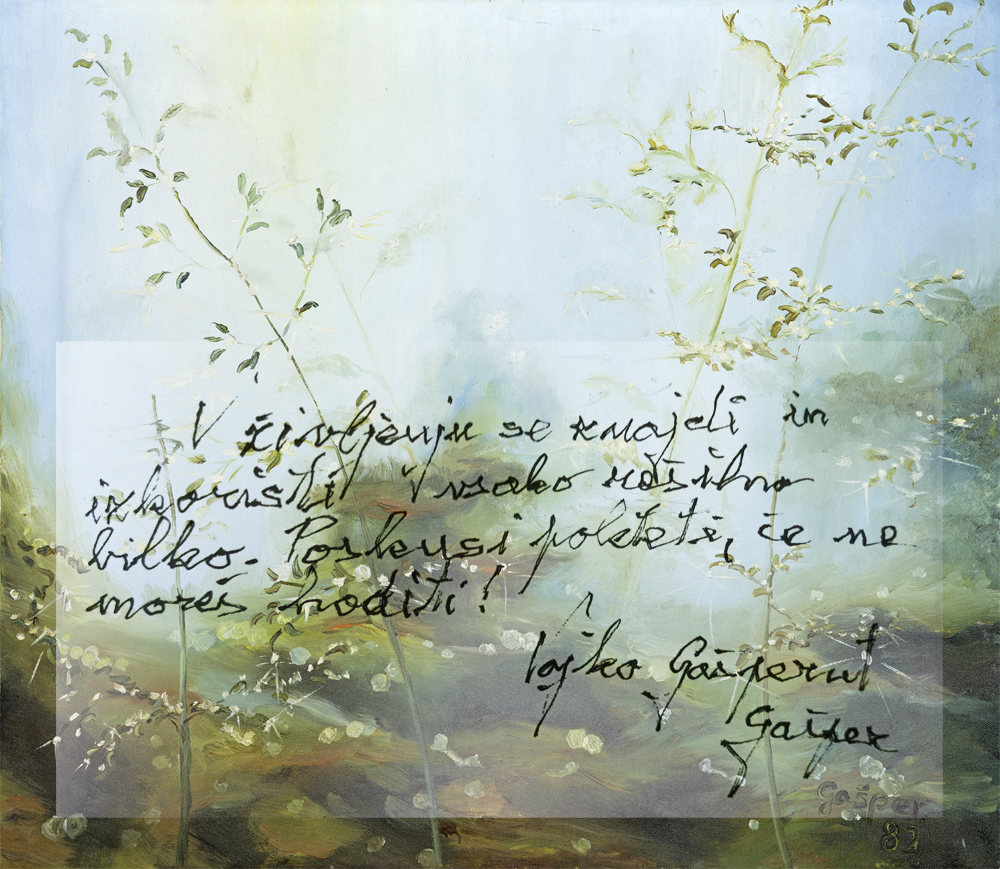 Le dve leti skupnih spominov, a izjemno dragocenih …